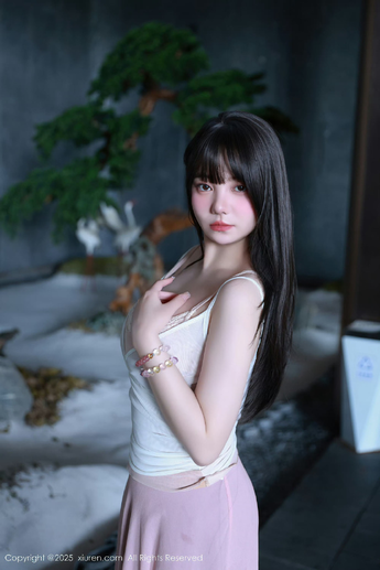 安装步骤详细指南